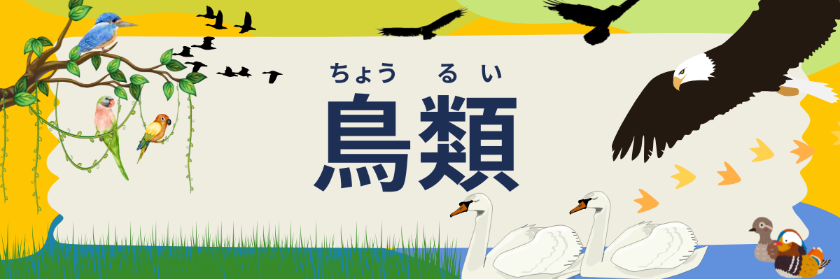 鳥類のロゴ