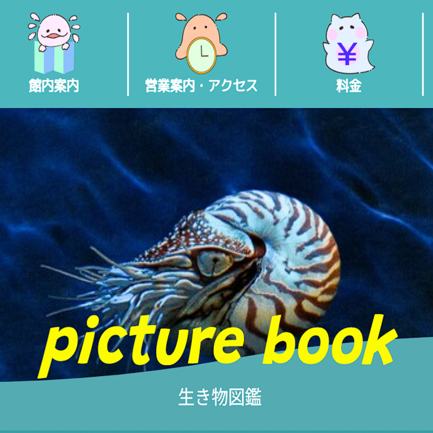 ふらっと水族館画像